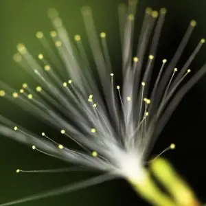 OTT Certified Optical Network Associate:,OTDR Fundamentals & Operation Course:,Fibre Optics Technician Course:,Fibre Optic Specialist Course:,Fibre Optic,training,course,career